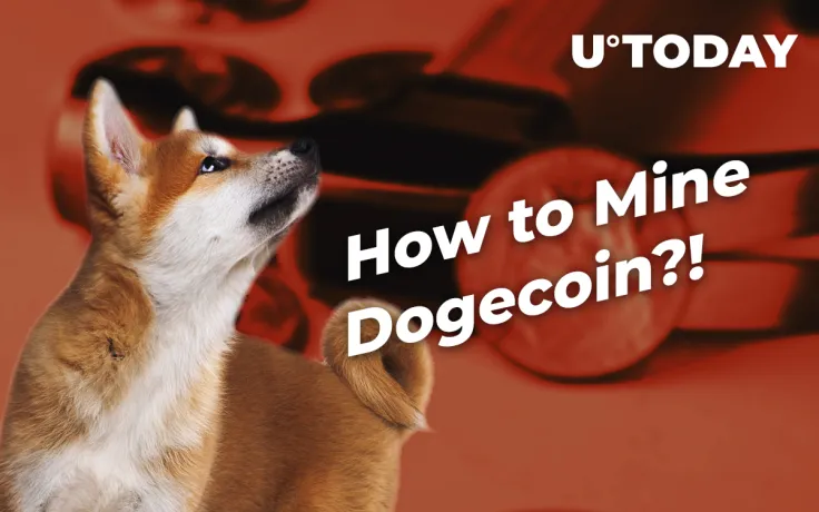 How to Mine Dogecoin: Complete Guide For Beginners