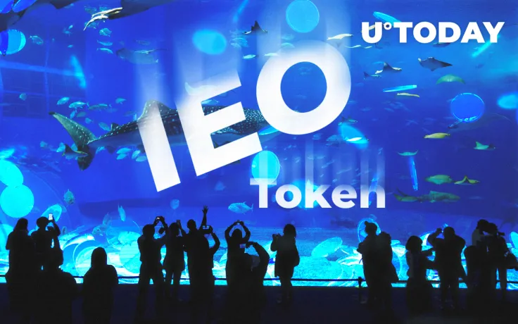IEO Token Explanation on Brave Sound Token Example