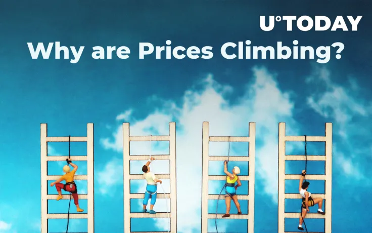 Why are Prices Climbing? Bitcoin Whales, Litecoin Hashrate, Tron Announcements, and more