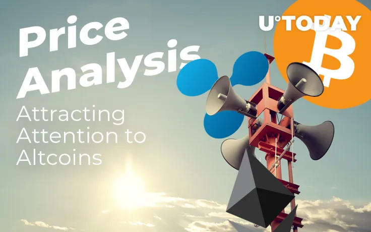 BTC, ETH, XRP Price Analysis — BTC Market Share Reached ATH in 2019, Attracting Attention to Altcoins