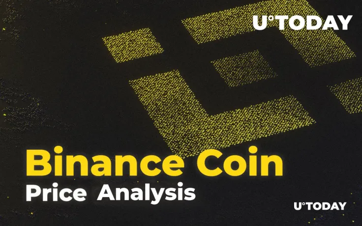 Binance Coin Price Analysis 2019-20-25 — How Much Might BNB Cost?