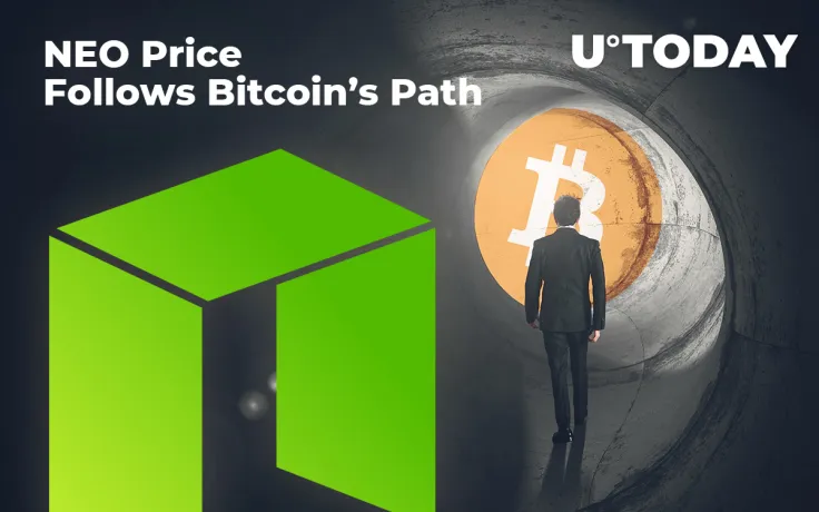 NEO Price Follows Bitcoin’s Path: Chances of Reaching $25 During Summer