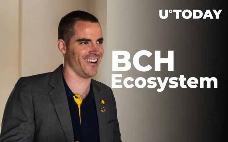 "Bitcoin Jesus" Roger Ver to Spend $200M Fund for Bitcoin Cash Ecosystem