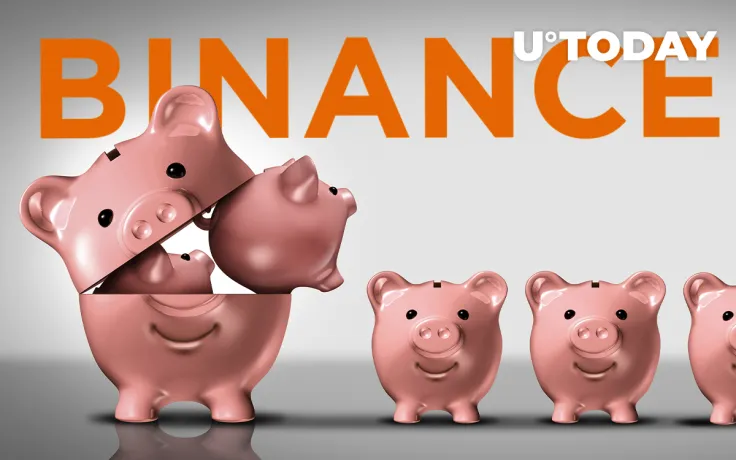 54% of Richest Binance Users Keep Their Portfolio Between 1-10 Coins