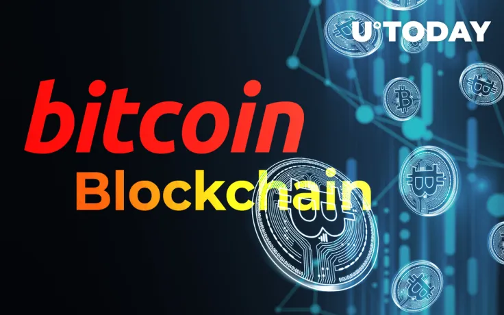 Bitcoin Has Larger Blockchain Than Its "Big Block" Forks: Jameson Lopp