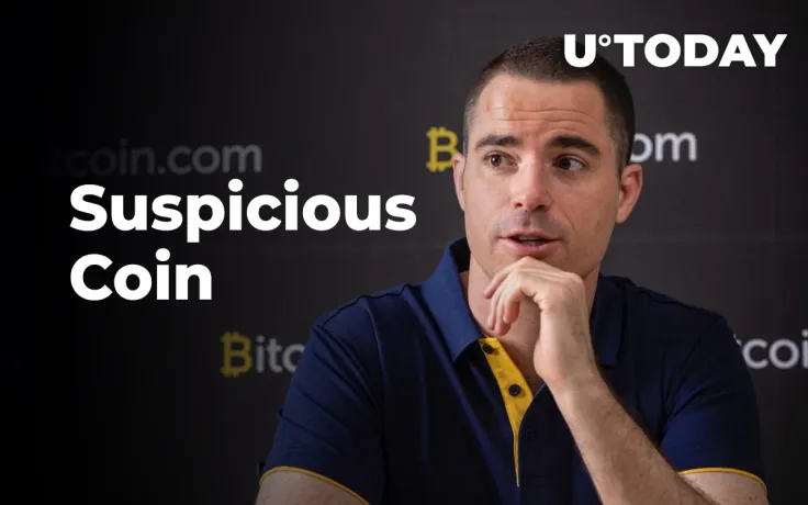 Roger Ver Weighs in on Bitcoin.com Listing Suspicious Coin HEX