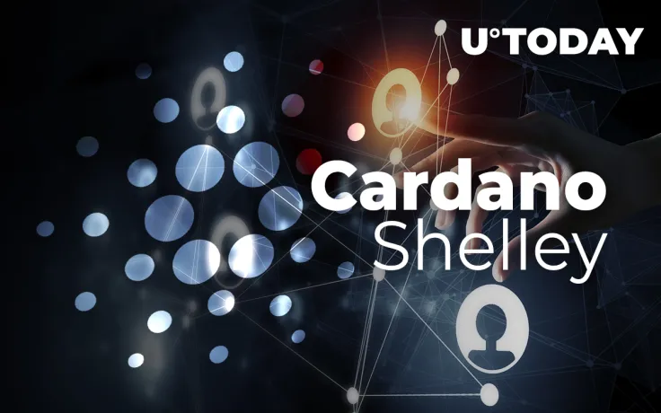 Cardano's Shelley Testnet Surpasses 500 Stake Pools