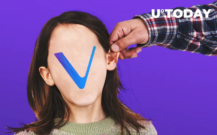 VeChain’s Top Managers Severely Punished for Money Leak: Details