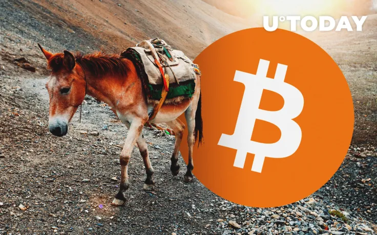 Bitcoin Fraudsters Trick Victims Into Becoming Money Mules. Here's How They Do It