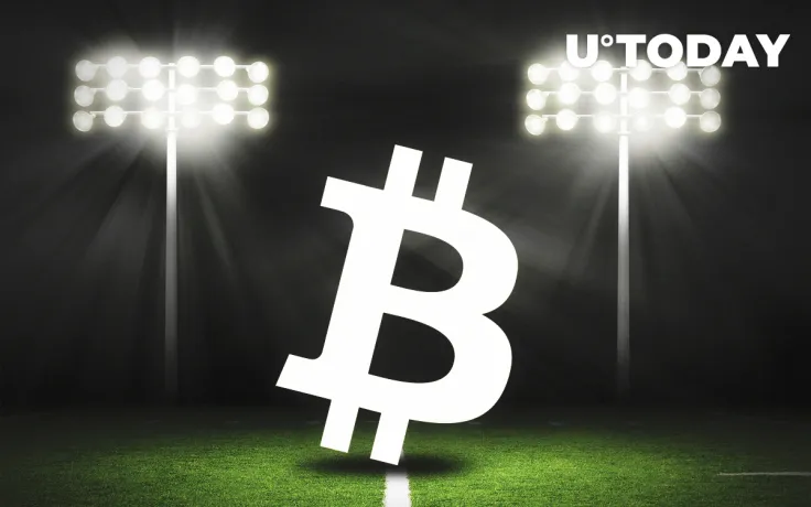 Bitcoin Has Survived Another Year and Scored More Goals in 2019: Crypto Experts