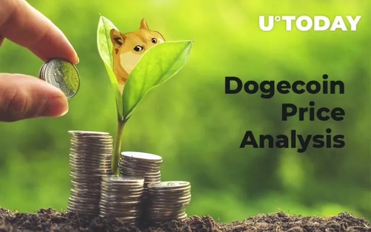 Dogecoin Price Analysis 2019 — Is Long-Term Growth Possible?