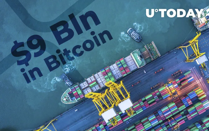 Almost $9 Bln in Bitcoin Transferred, Reports Whale Alert, XRP Can't Do That, Bitcoiner Says