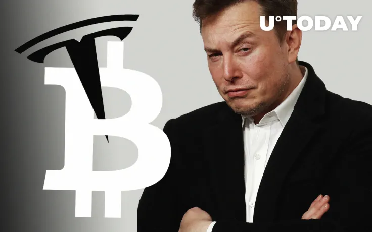 Bitcoin (BTC) Compared to Tesla (TSLA) by Prominent Investor. Elon Musk Won't Like It