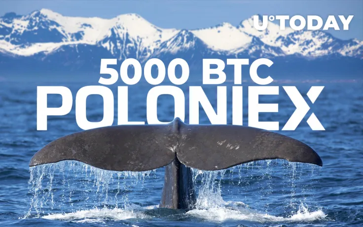 Bitcoin (BTC) Whale Moved 5000 BTC to Poloniex, 'Shuffling Funds' Suspected by Analysts
