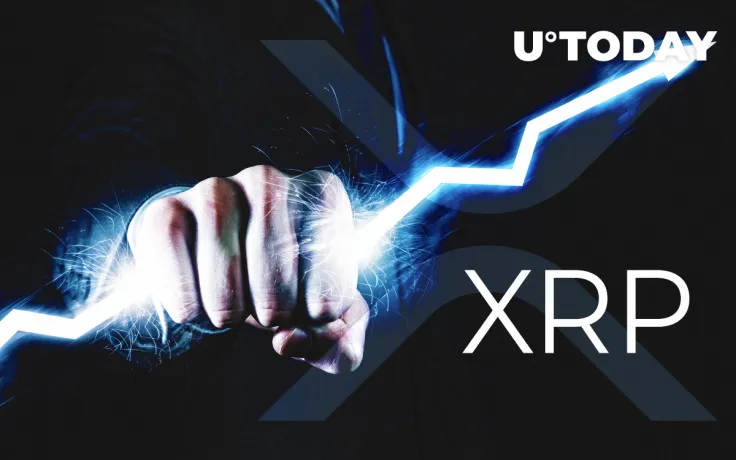 'XRP Could Fall to Zero or It Could Be Worth a Million Dollars': American Institute for Economic Research