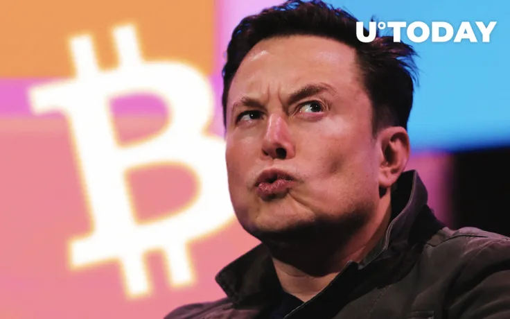 Bitcoin (BTC) Is Not My Safeword: Elon Musk