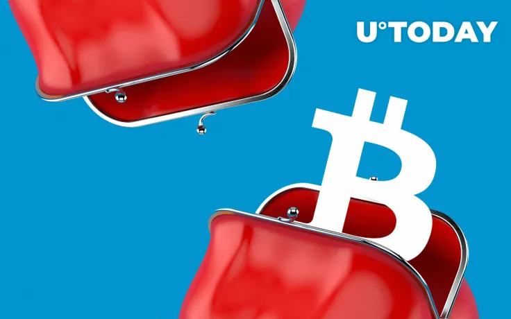 Nearly $1.1 Bln in Bitcoin (BTC) Moved Between Unknown Wallets, Bitfinex CTO Says It’s Hot Wallet Refill