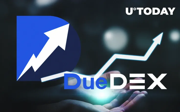 DueDEX Announces Risk Manager Tool to Absorb Risks While Trading Crypto