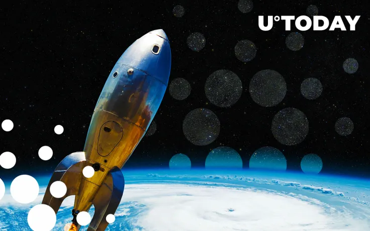 Cardano Can Bring Fresh New Perspective to Crypto But It Needs Time: Weiss Ratings