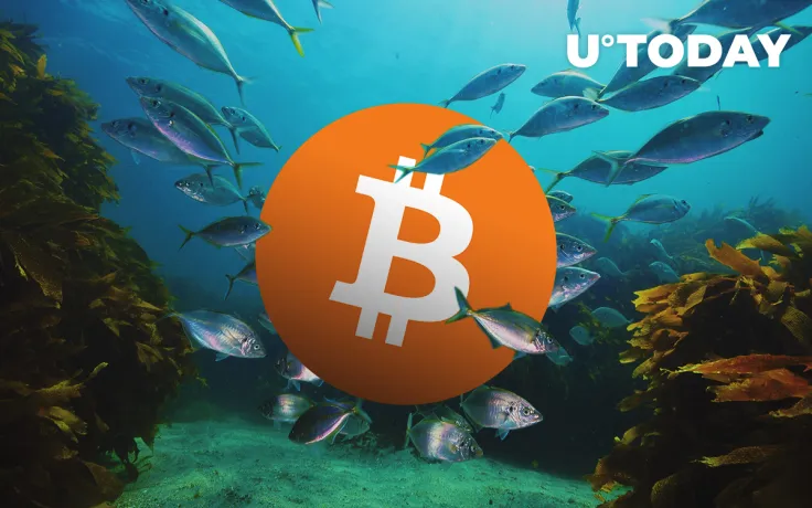 Data Shows Bitcoin (BTC) Could Be in New Accumulation Stage. Are HODLers Coming Back?