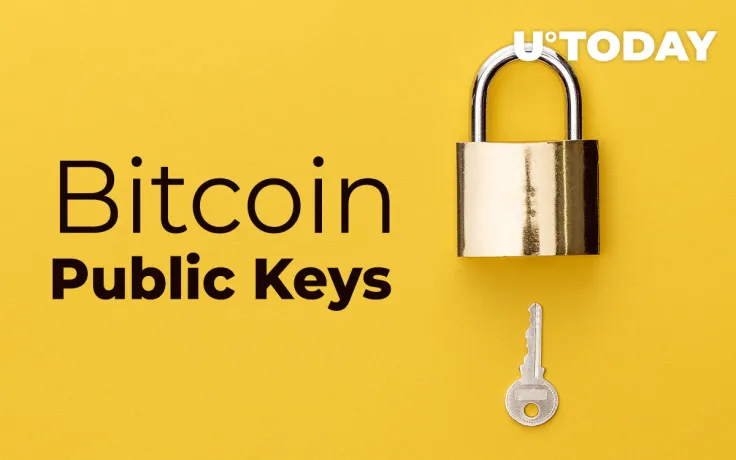 Your Bitcoin (BTC) Public Keys May Be Disclosed by Countries. Here’s How