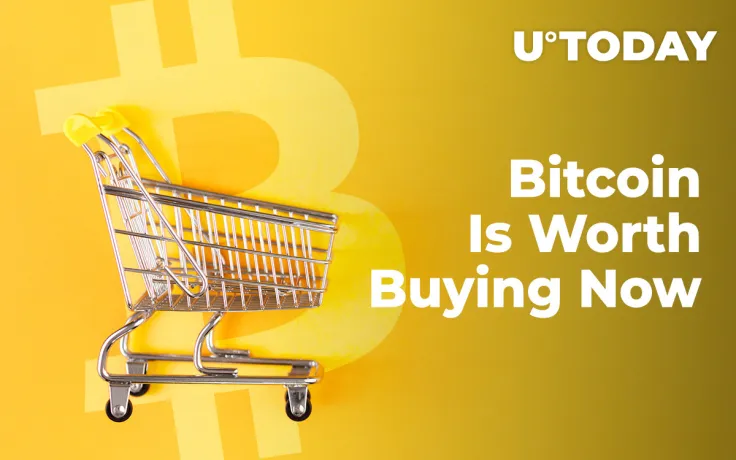 Bitcoin Is Worth Buying Now, Trader Explains Why