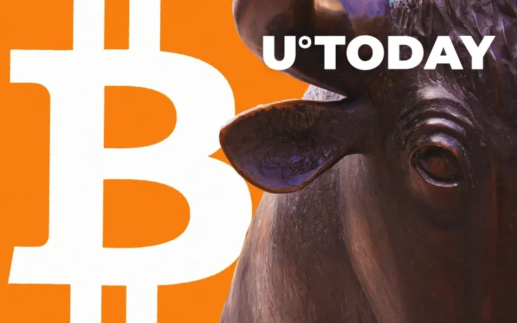 $61 Mln Worth of BTC Shorts Liquidated on BitMEX as Bitcoin Bulls Savour Taste of Revenge