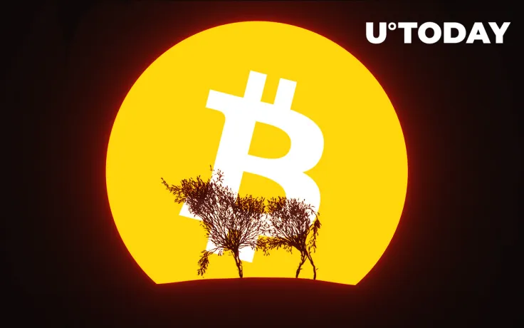 Number of Bitcoin (BTC) Whales Hits Two-Year High. Is Another Bull Run on the Horizon?