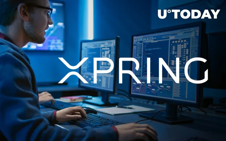 Xpring Platform Invites XRP Developers to New Initiative: Details