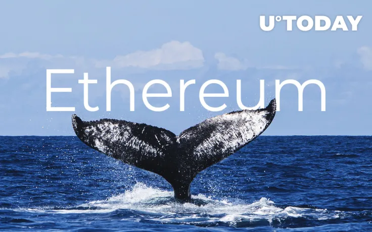 Ethereum (ETH) Whales Accumulating, Not Selling, Report Says