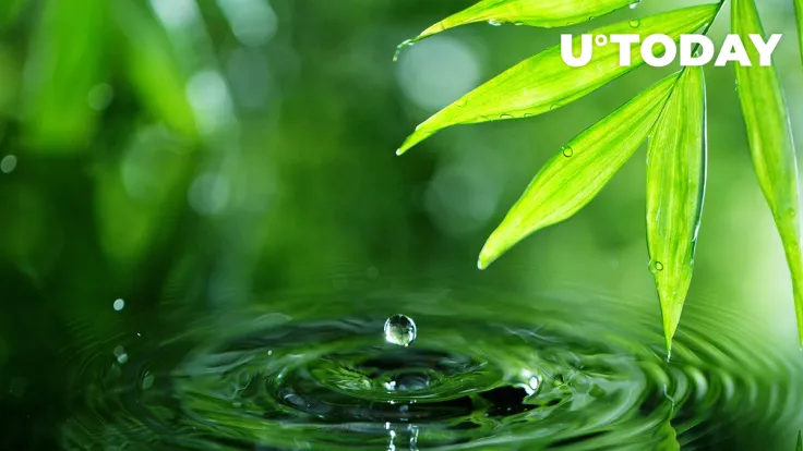 Ripple Explains Why XRP Is More Sustainable Than BTC and ETH in Celebration of Earth Day