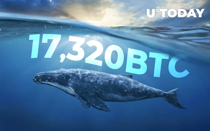 17,320 BTC Moved from Top Exchanges to Anon Wallets – Are Whales Waiting for Leap Over $10,000?