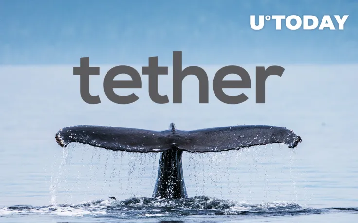 USDT Median Transaction Volume Prints New High. Are Whales Accumulating?