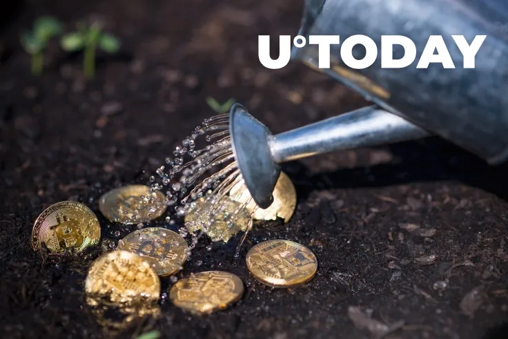 Andreessen Horowitz Co-Leader Says Crypto Is About to ‘Bloom’ 