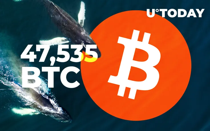 Bitcoin Whale Transfers Another 47,535 BTC - Second Day in a Row