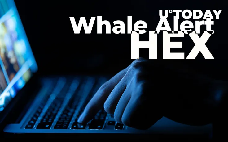 Whale Alert Removes HEX Crypto Transactions, Implying Coin’s Dubious Nature