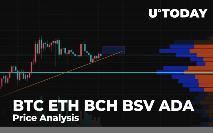 BTC, ETH, BCH, BSV, ADA Price Analysis: Is Growth for Altcoins Gonna Pause After Bitcoin (BTC) Becomes More Volatile?