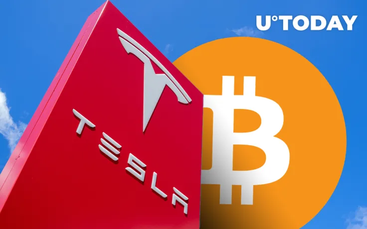 Tesla Speculators Likely to Flock to Bitcoin Once Its Price Breaks Above $20,000: Economist