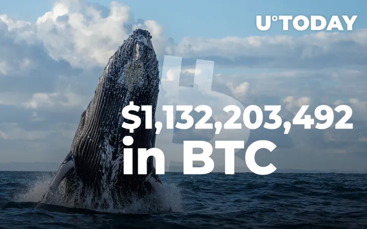 $1,132,203,492 in Bitcoin Wired by Crypto Whales Over Past Few Days, In Just Two Transactions