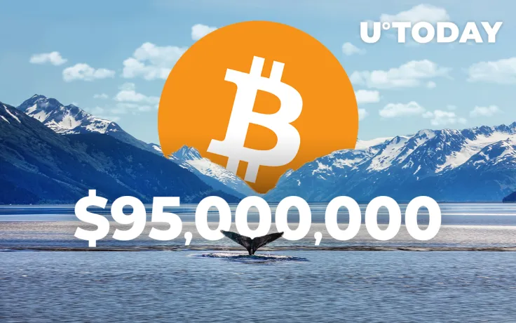 Bitcoin Whale Moves $95,000,000 In BTC Paying Less than $1 Fee