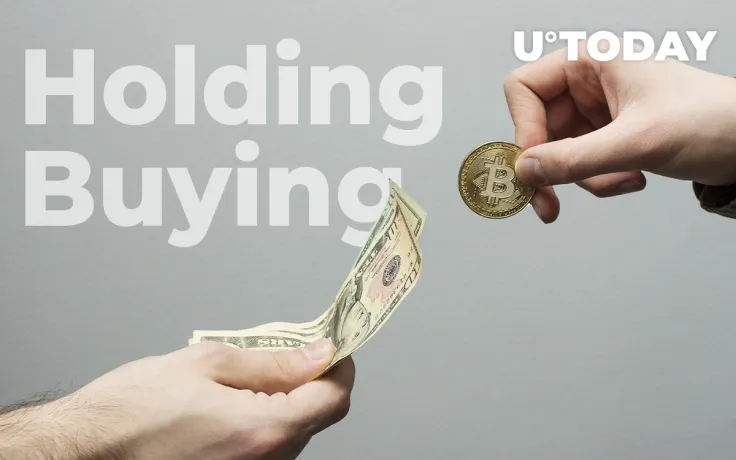 84% Poll Respondents Holding/Buying Bitcoin: Plan B Analyst