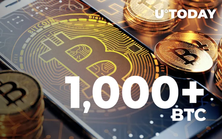  Number of Bitcoin Wallets with 1,000+ BTC Hits 9-Month High: Glassnode