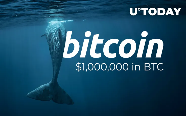 18,000 Bitcoin Whales Now Hold Minimum of $1,000,000 in BTC Each: Glassnode Data