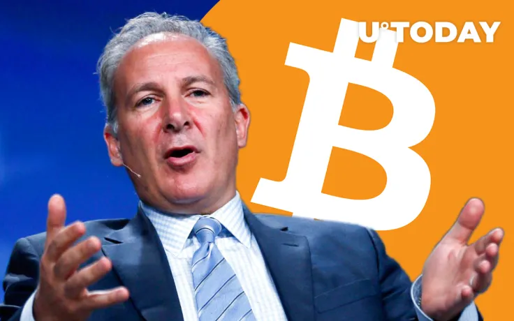 Each Time Bitcoin Rose Above $10,000, It Then Printed Big Fall—How Far Will BTC Plunge Now? Asks Peter Schiff