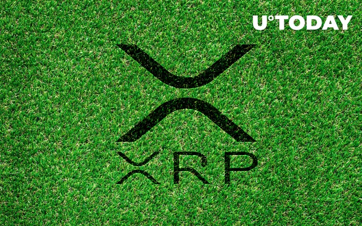 XRP Is Inherently Green Currency Unlike Bitcoin and Ethereum: Ripple CTO