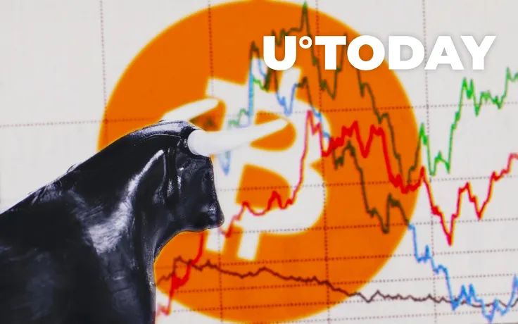 Bitcoin Is in ‘Cool Place for Bounce,’ According to Well-Known Trader Scott Melker