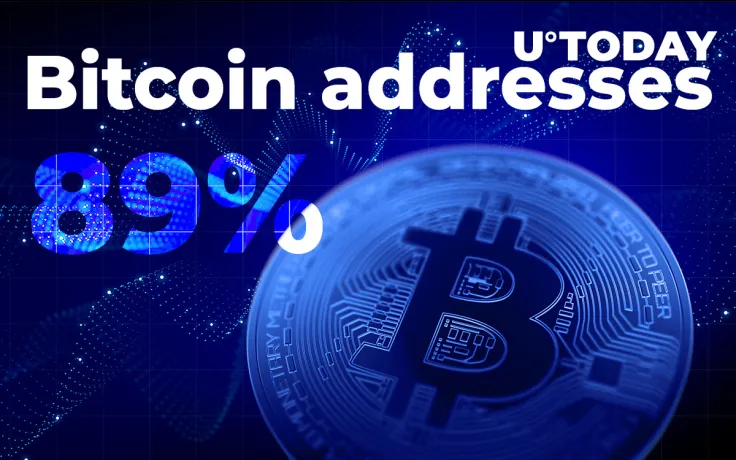 89% of Bitcoin Addresses Are in Profit, On-Chain Data Finds