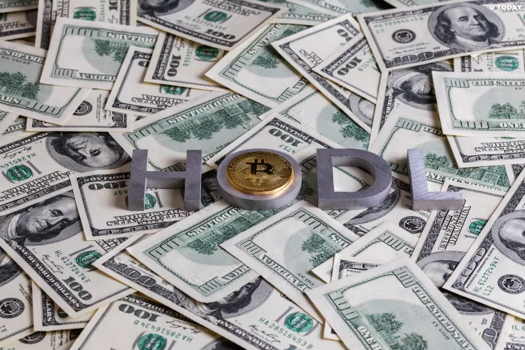 "HODL" Meme Now Dates Back to Very First Bitcoin Transaction 