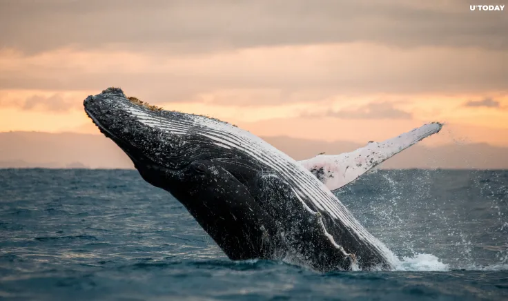 Bitcoin Starts Dumping After $1,153,612,284 Transaction 