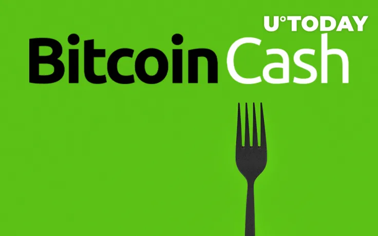 Bitcoin Cash Hard Fork to Gain Support from OKEx, BCH Holders Will Receive New Tokens 1:1